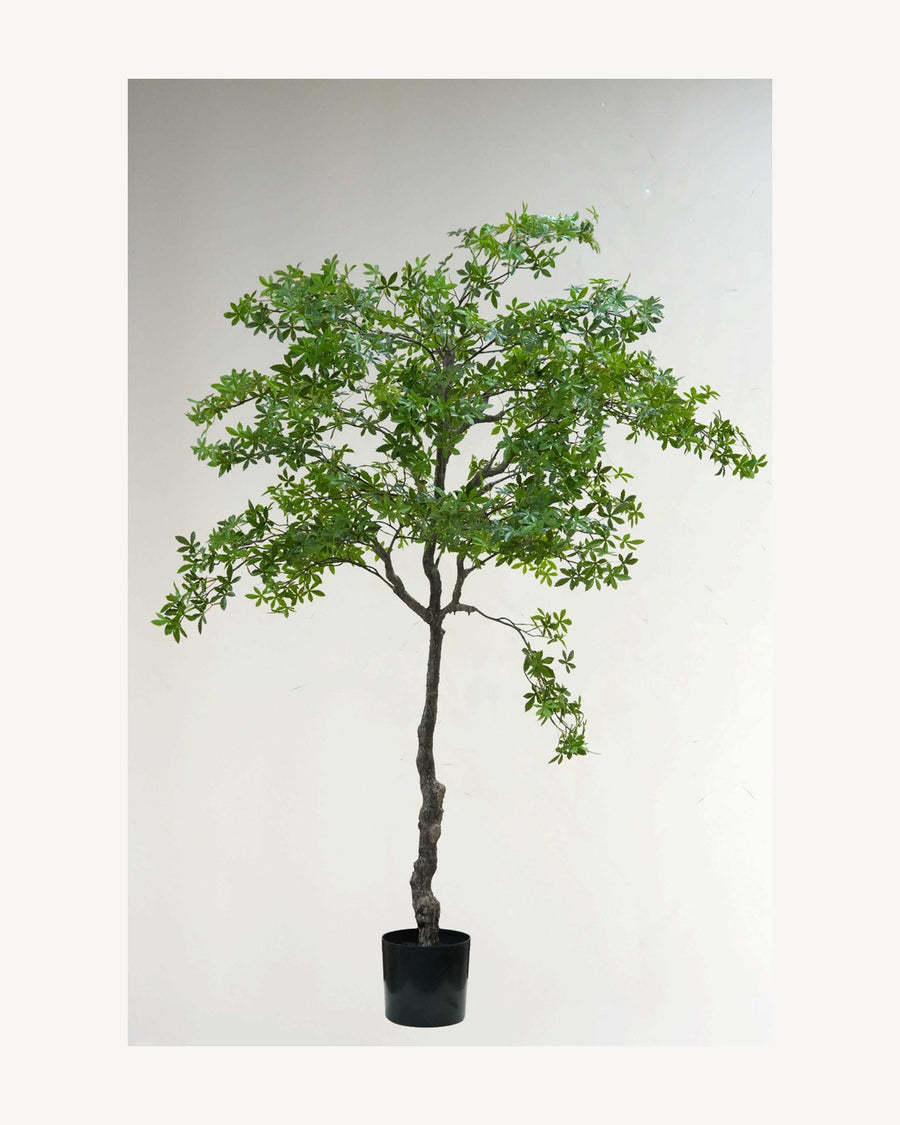 Assisi Artificial Decorative Tree, 66.9 in