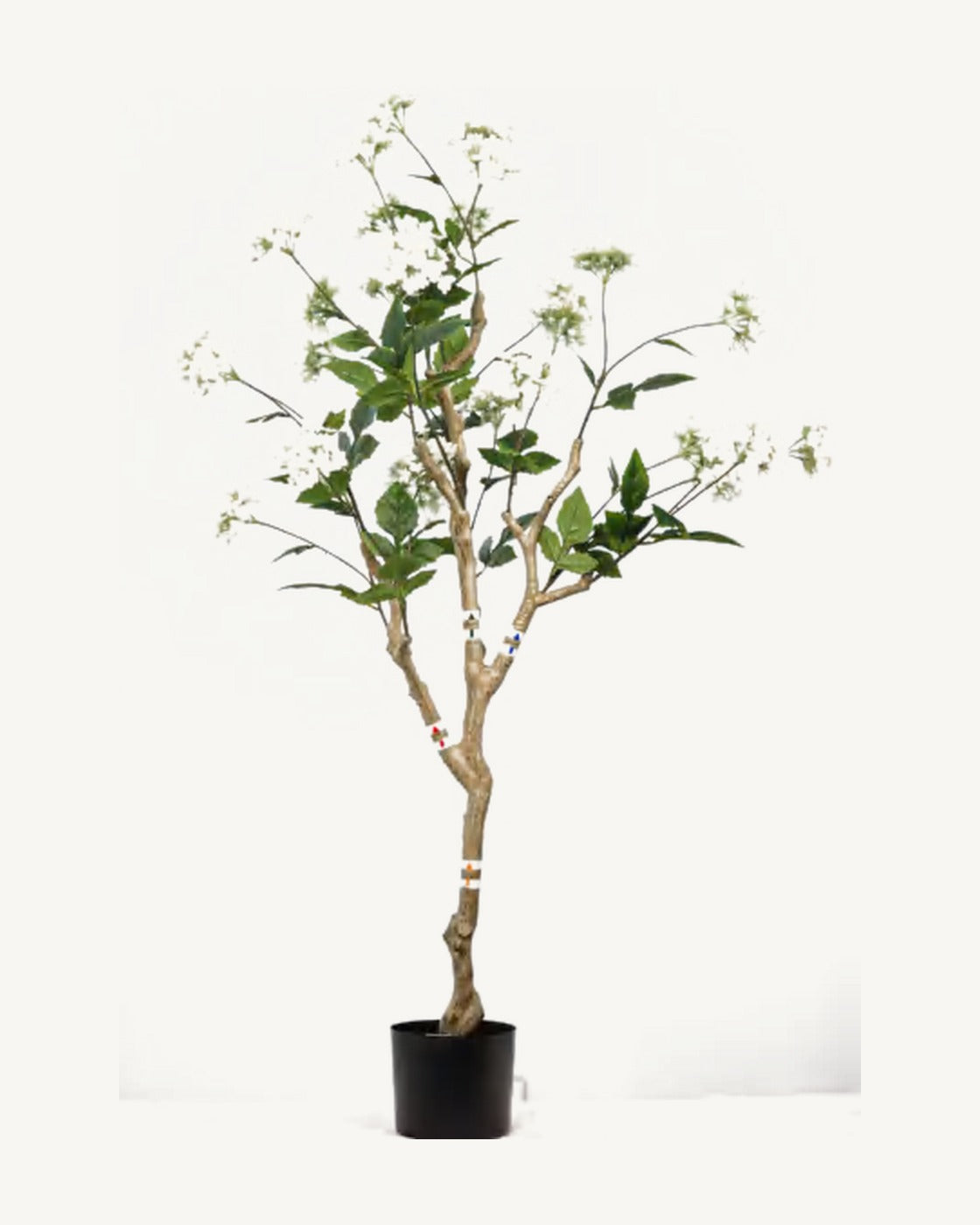 Assisi Artificial Hydrangea Tree, full product studio view in the included nursery pot