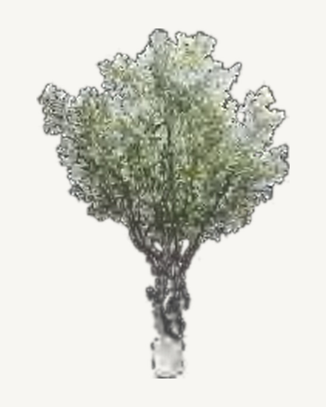 Avignon Artificial Olive Tree, full product studio view in the included nursery pot