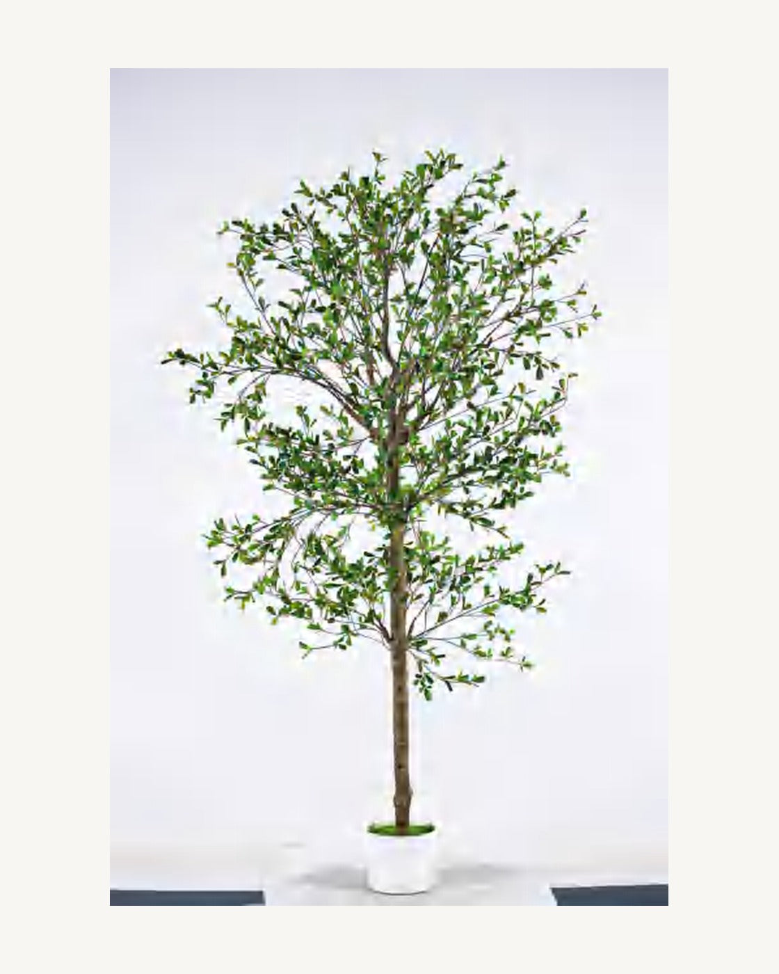 Bastia Artificial Black Olive Tree, full product studio view in the included nursery pot