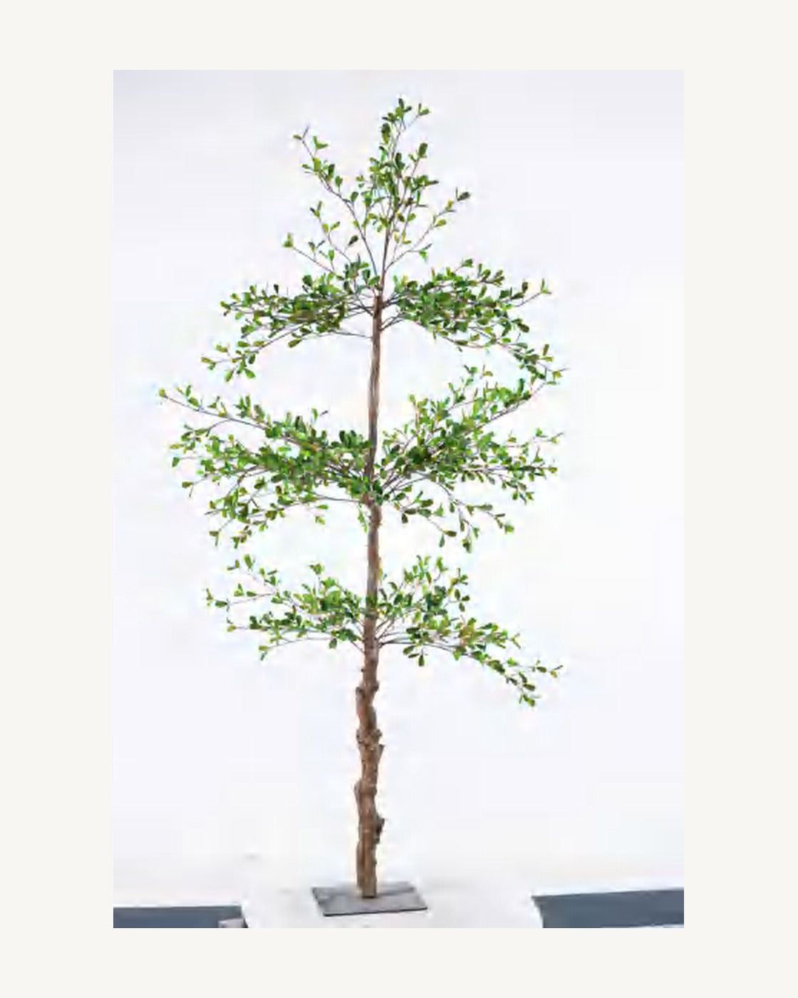 Bonifacio Artificial Black Olive Tree, full product studio view in the included nursery pot