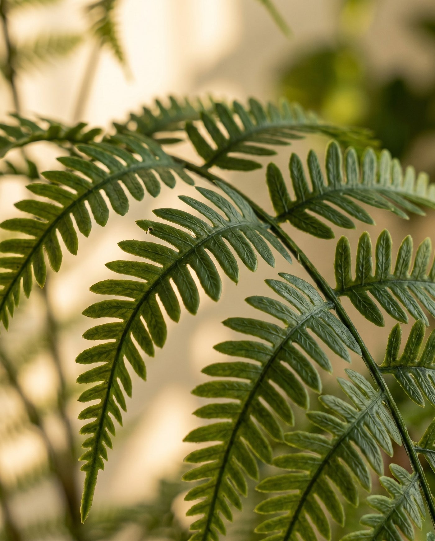Maison Moya - Boston Fern Lush Faux Hanging Plant - 03 closeup-top