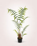 Boston Fern Lush Faux Hanging Plant