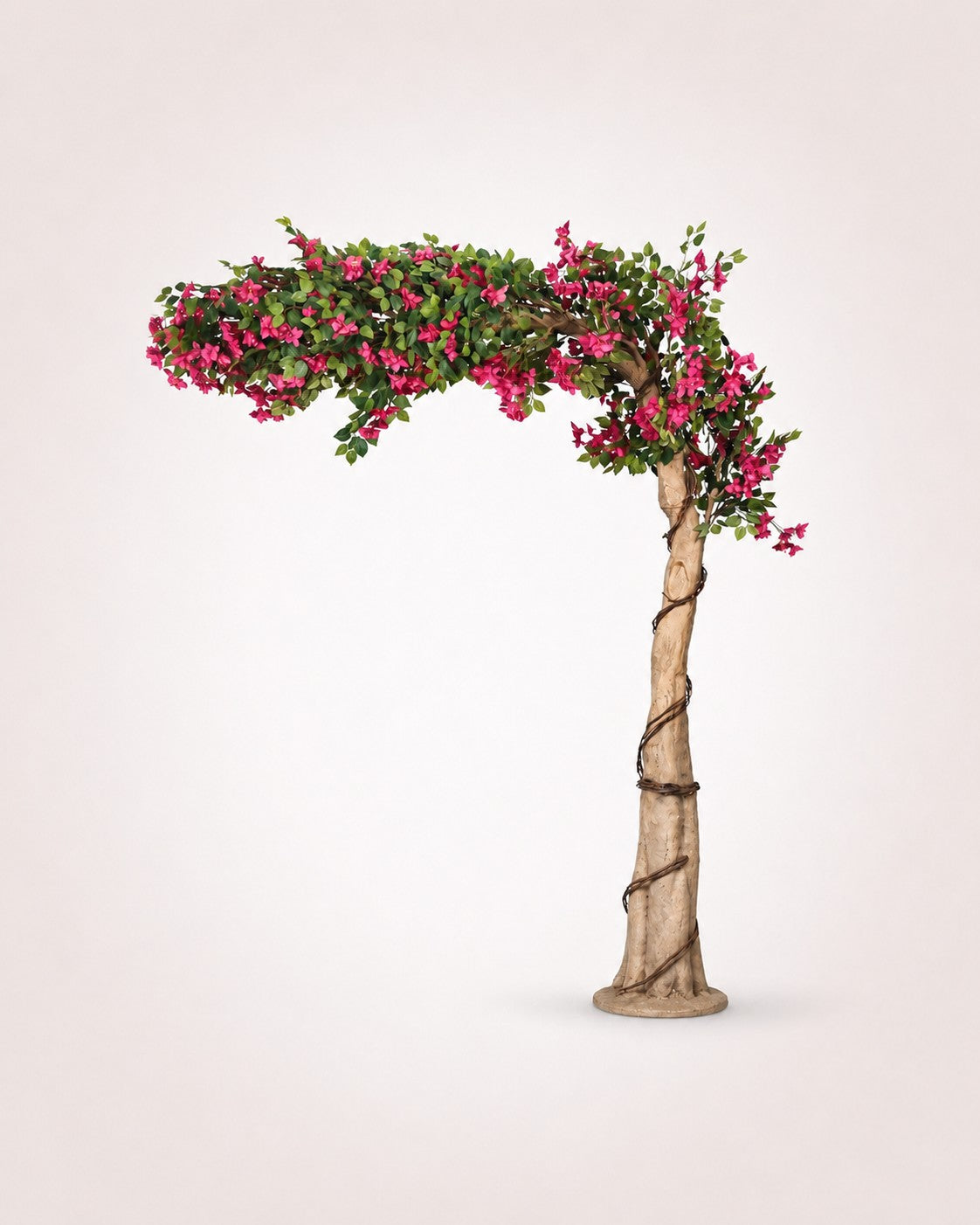 Maison Moya bougainvillea-arched