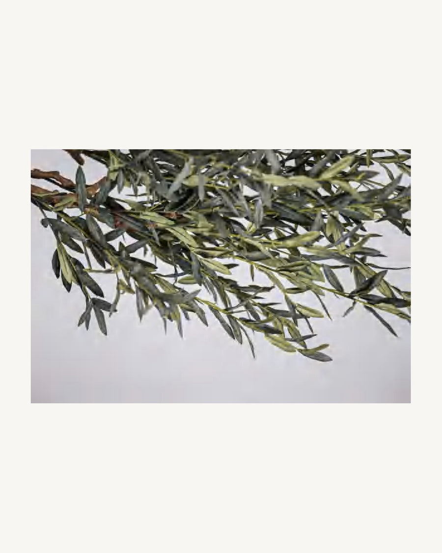 Braga Artificial Olive Tree, 68.8 in