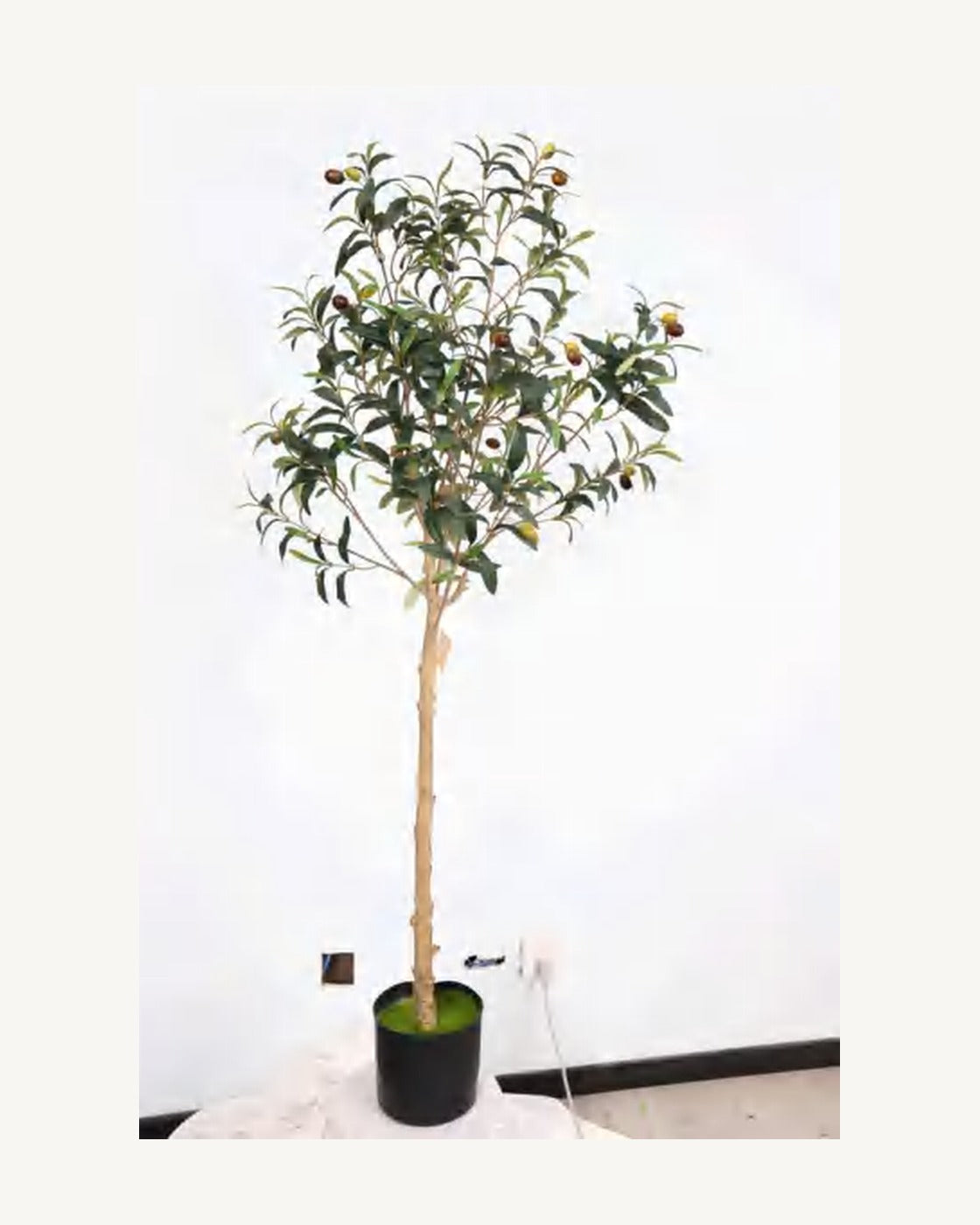 Calvi Artificial Olive Tree, full product studio view in the included nursery pot