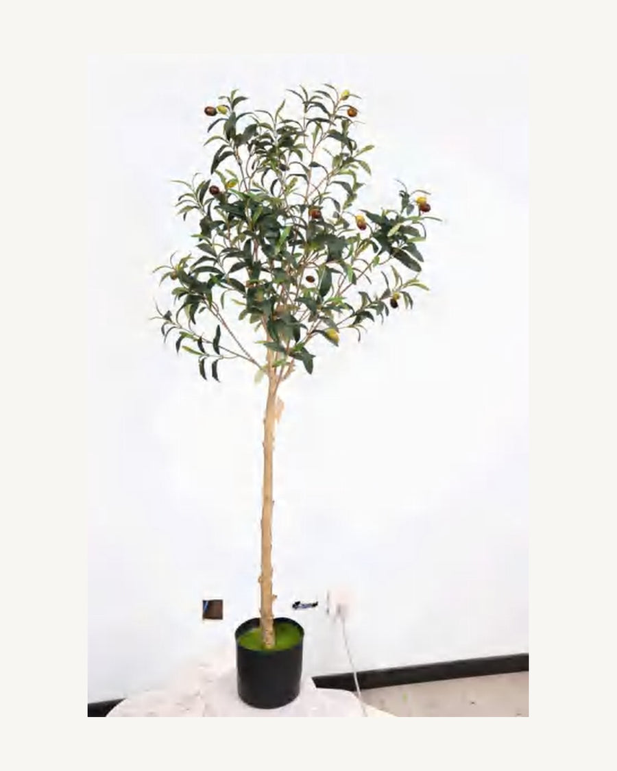 Calvi Artificial Olive Tree, 55.1 in