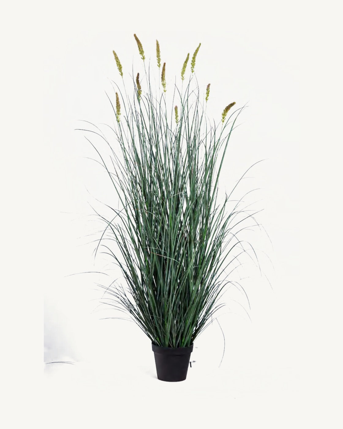 Capri Artificial Cattail Grass, full product studio view in the included nursery pot