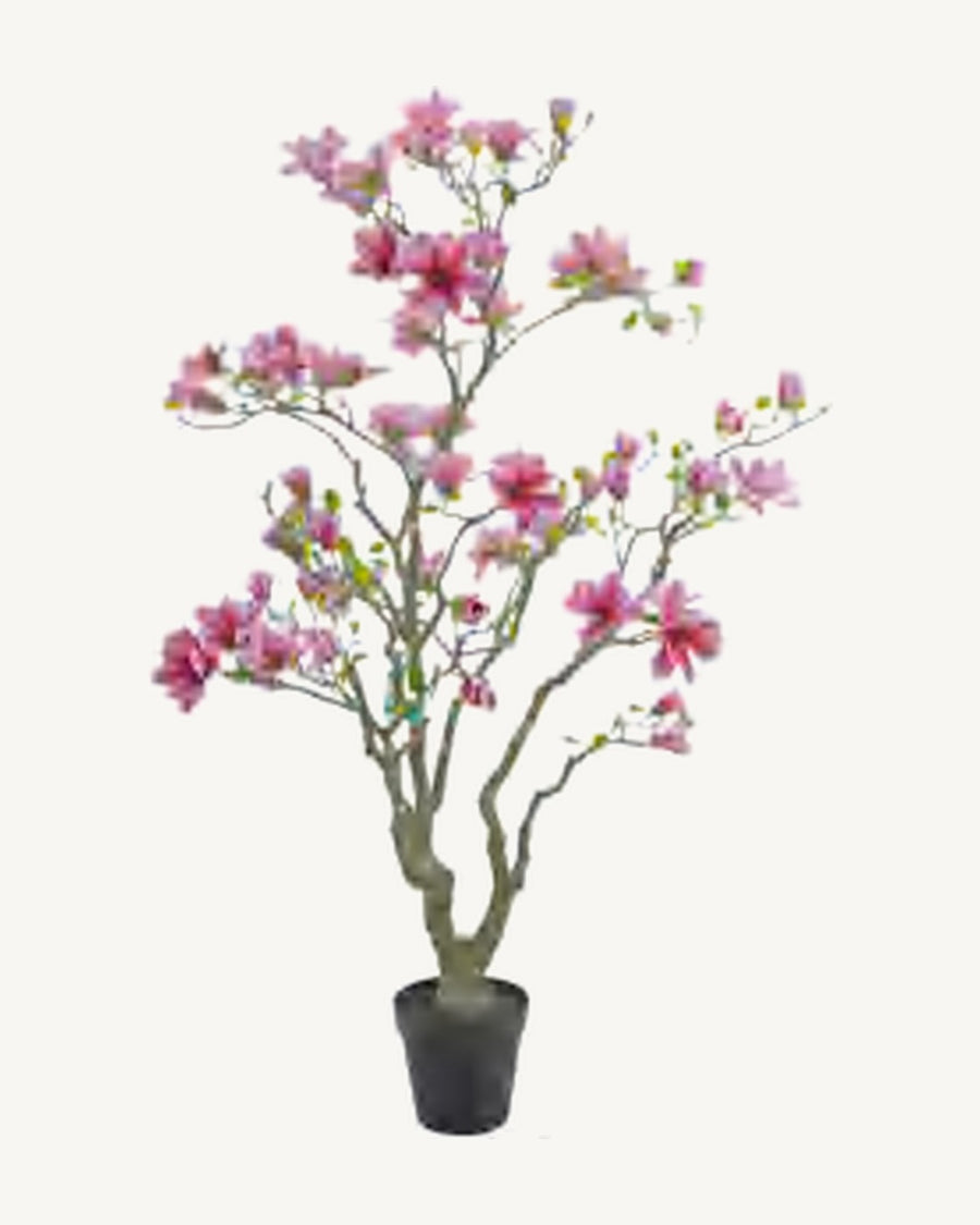 Cassis Artificial Blossom Tree
