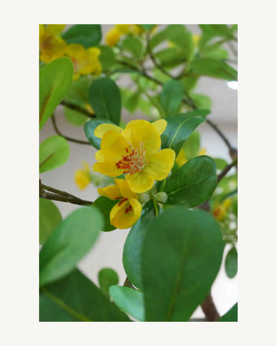 Cefalu Artificial Blossom Tree, full product studio view in the included nursery pot