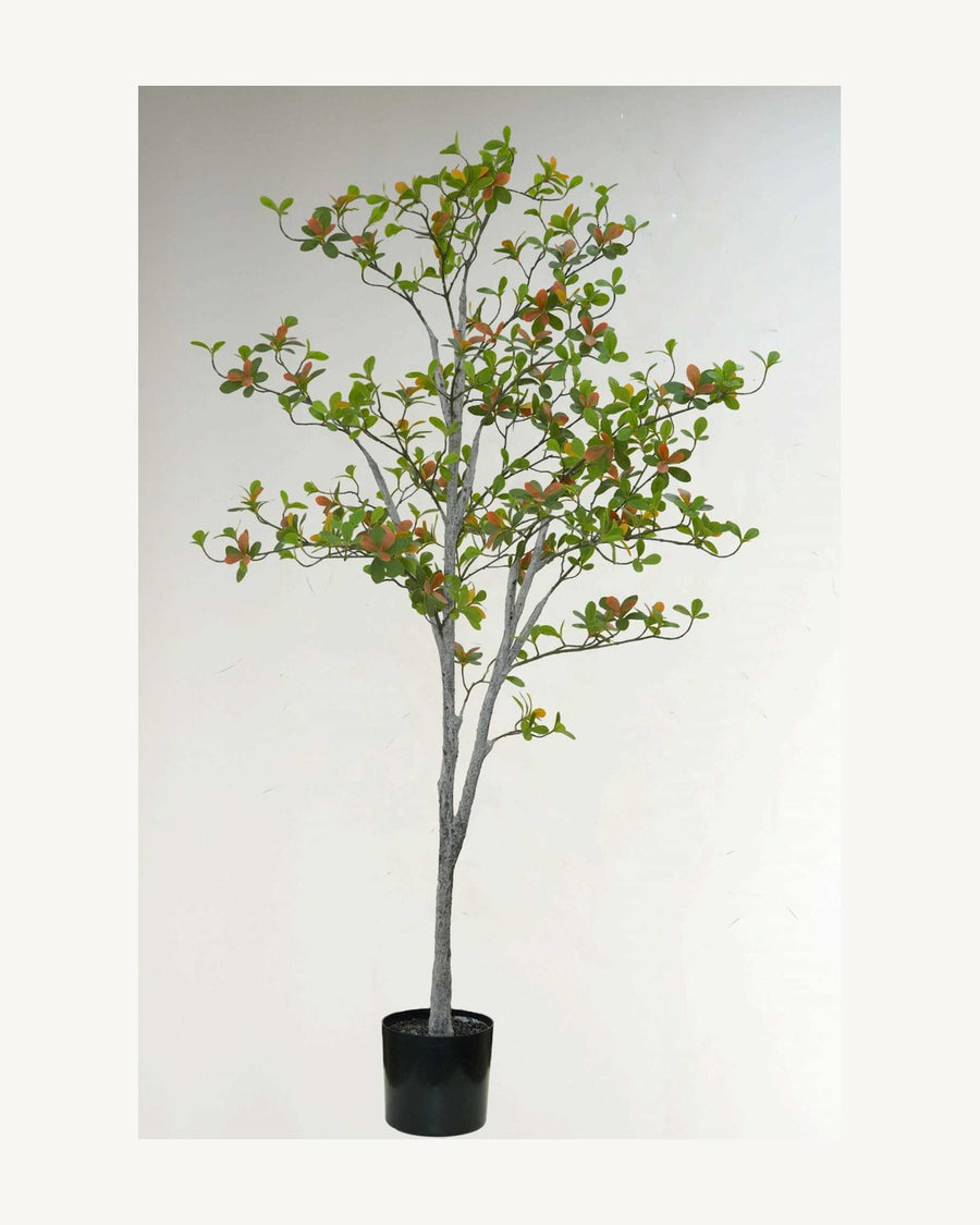 Cefalu Artificial Decorative Tree, 70.8 in