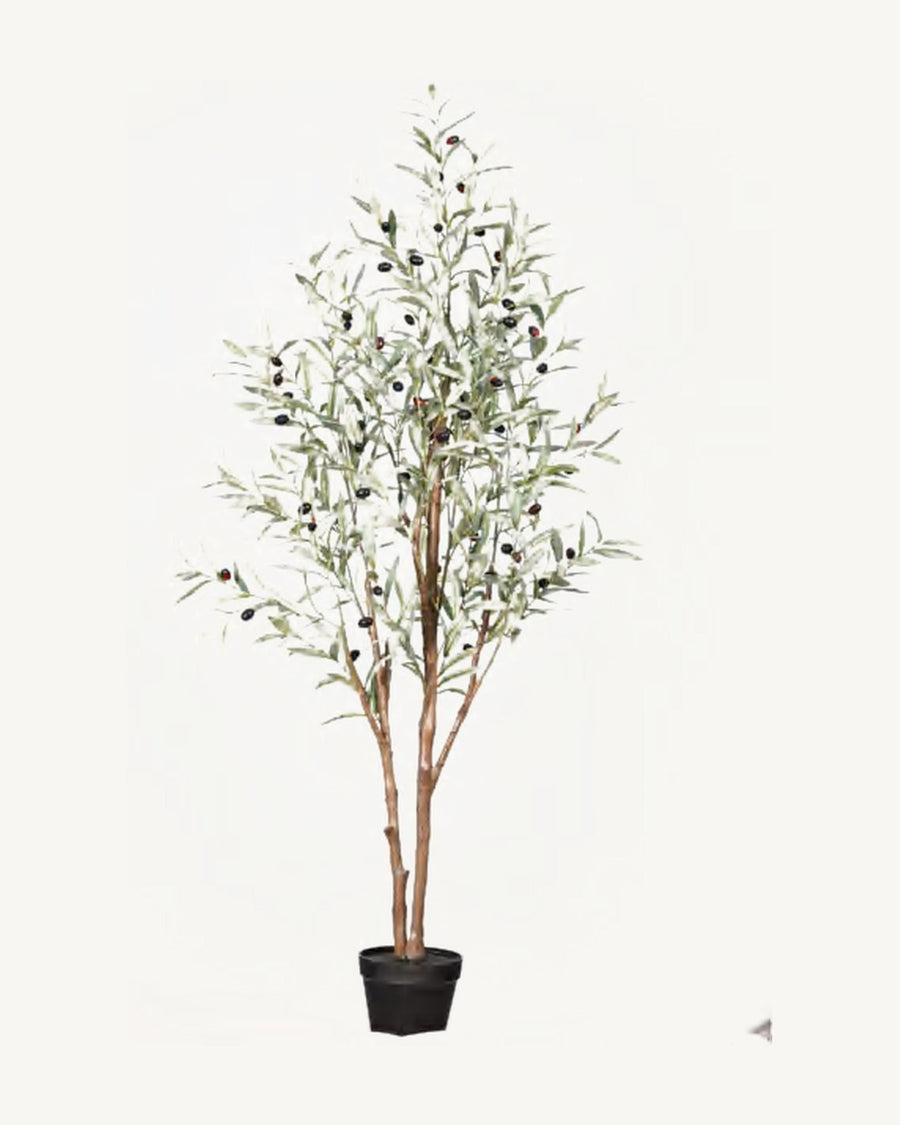 Coimbra Artificial Olive Tree, 62.9 in
