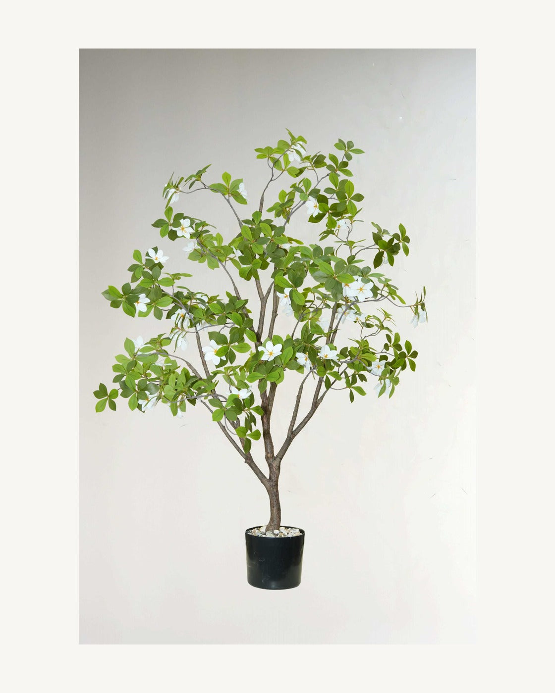 Como Artificial Gardenia Tree, full product studio view in the included nursery pot