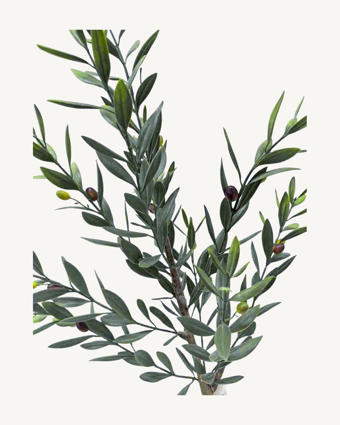 Cordoba Artificial Olive Tree, full product studio view in the included nursery pot