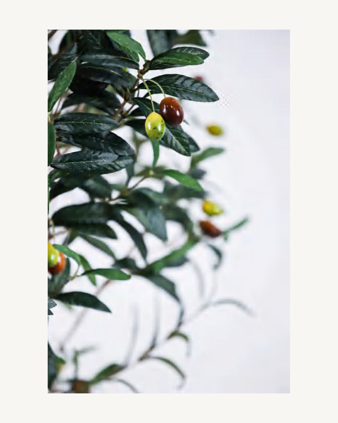Corsica Artificial Olive Tree, full product studio view in the included nursery pot