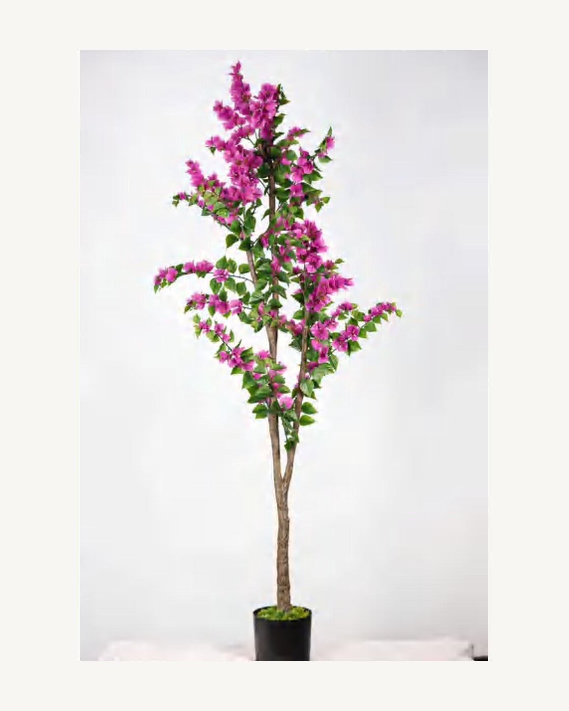 Cortona Artificial Bougainvillea Tree, full product studio view in the included nursery pot
