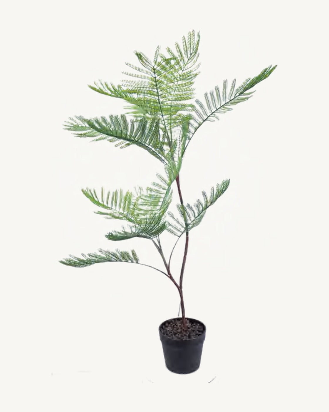 Cortona Artificial Phoenix Palm, 39.3 in, full product studio view in the included nursery pot