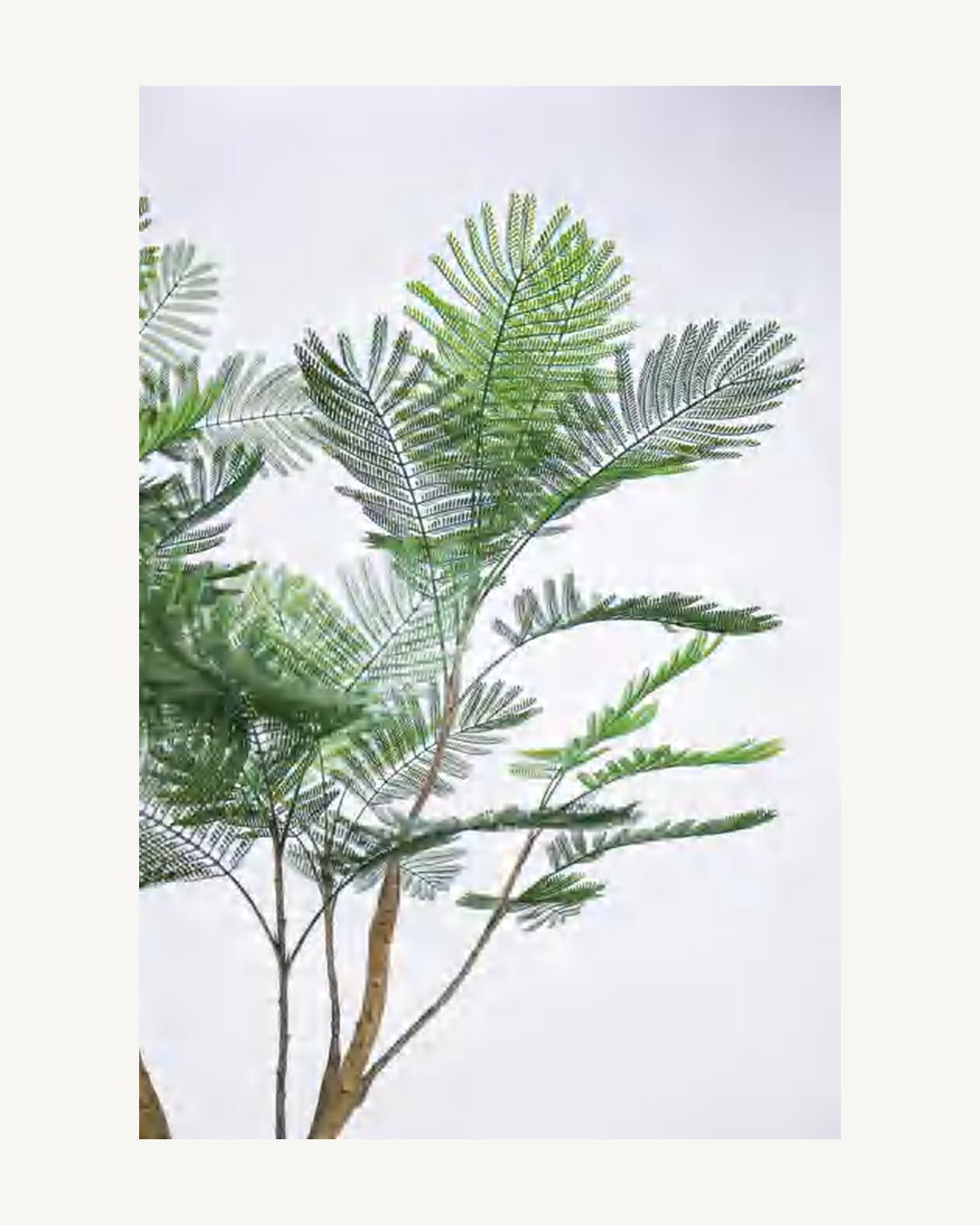Cortona Artificial Phoenix Palm, 76 in, full product studio view in the included nursery pot