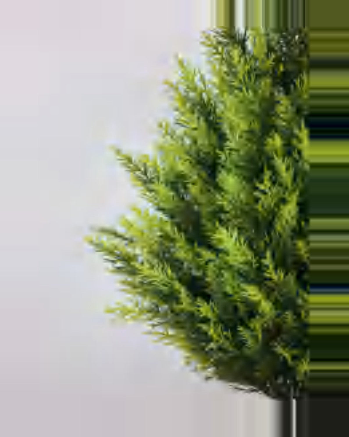 Bastide Cedar Plants Tree — close-up detail 1, artificial cedar plants tree