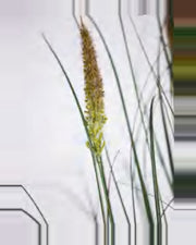 Lino Onion Grass — close-up detail 1, artificial onion grass