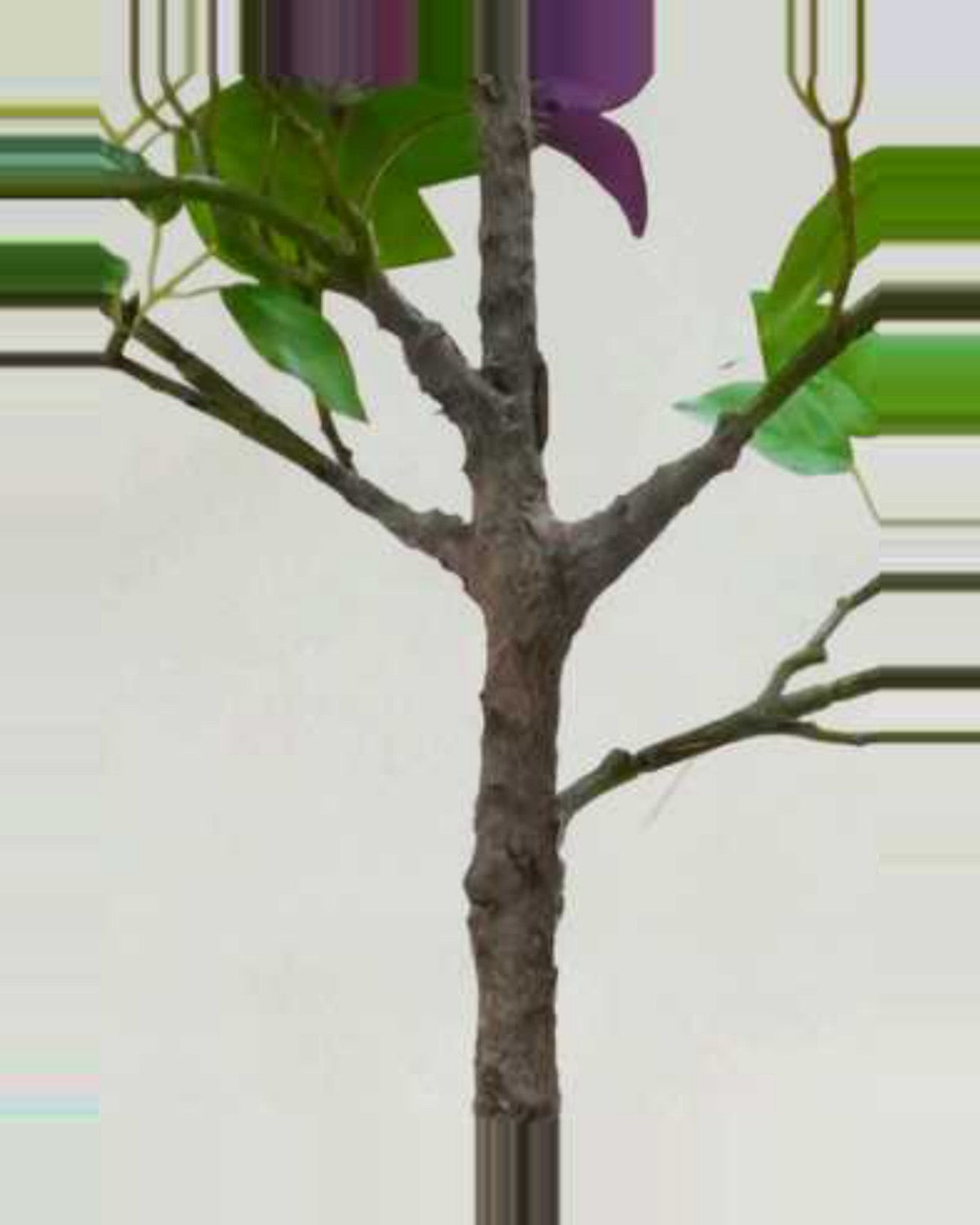 Rosa Bougainvillea Tree With Flowers — close-up detail 1, artificial bougainvillea tree with flowers