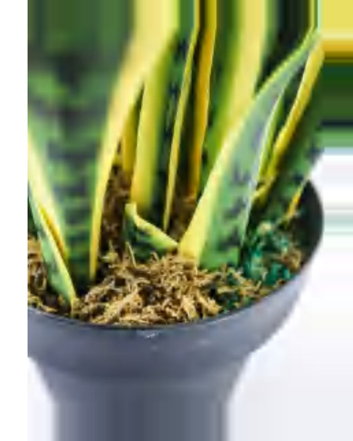 Oustau Snake Plant — close-up detail 1, artificial snake plant