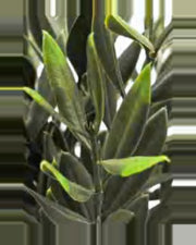 Ostuni Olive Tree — close-up detail 1, artificial olive tree
