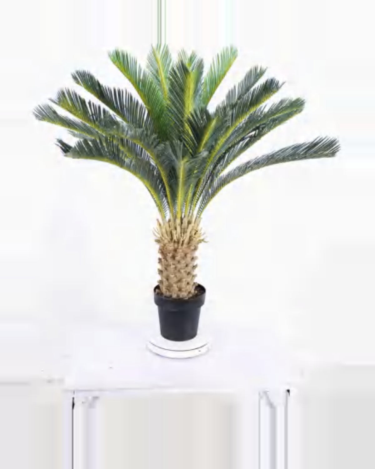 Borie Sago Palm — close-up detail 1, artificial sago palm