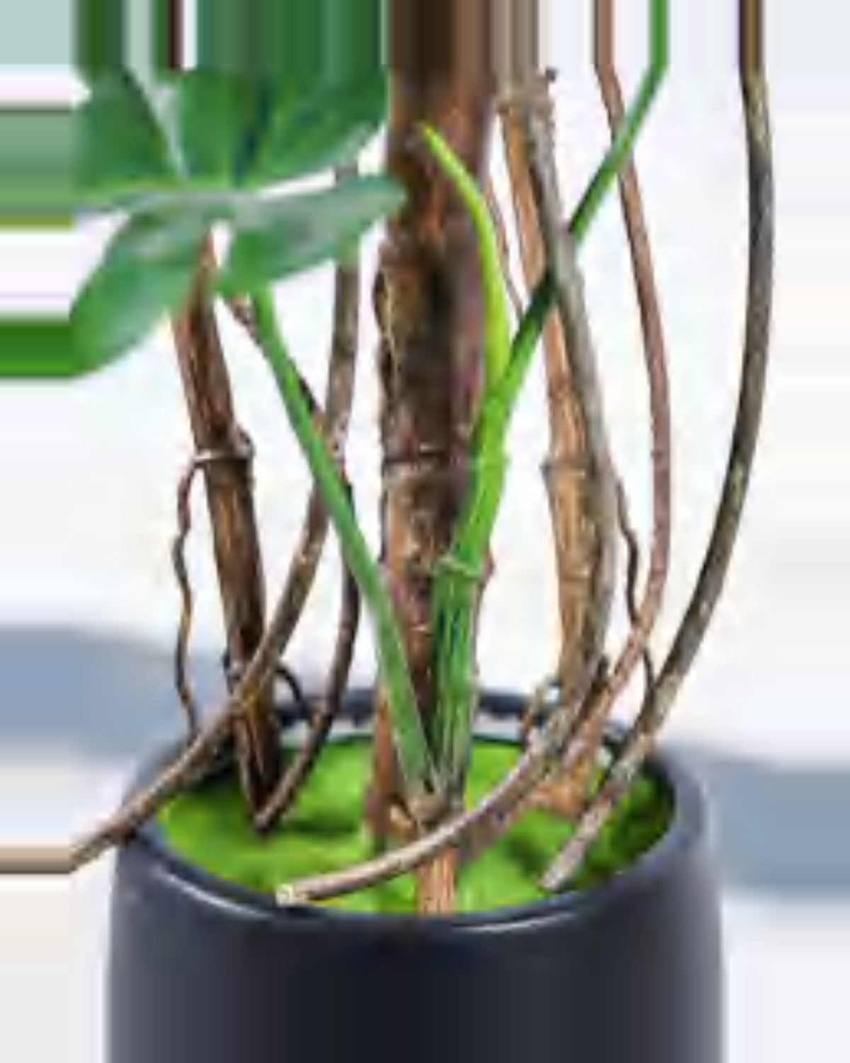 Sabbia Monstera Plant — close-up detail 1, artificial monstera plant