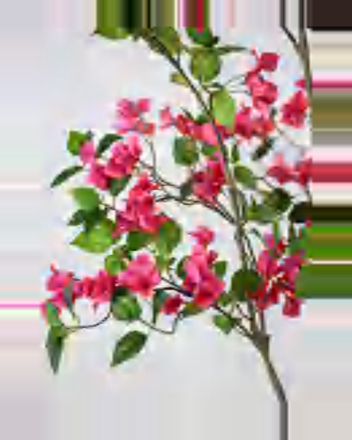 Ambra Bougainvillea Tree — close-up detail 1, artificial bougainvillea tree