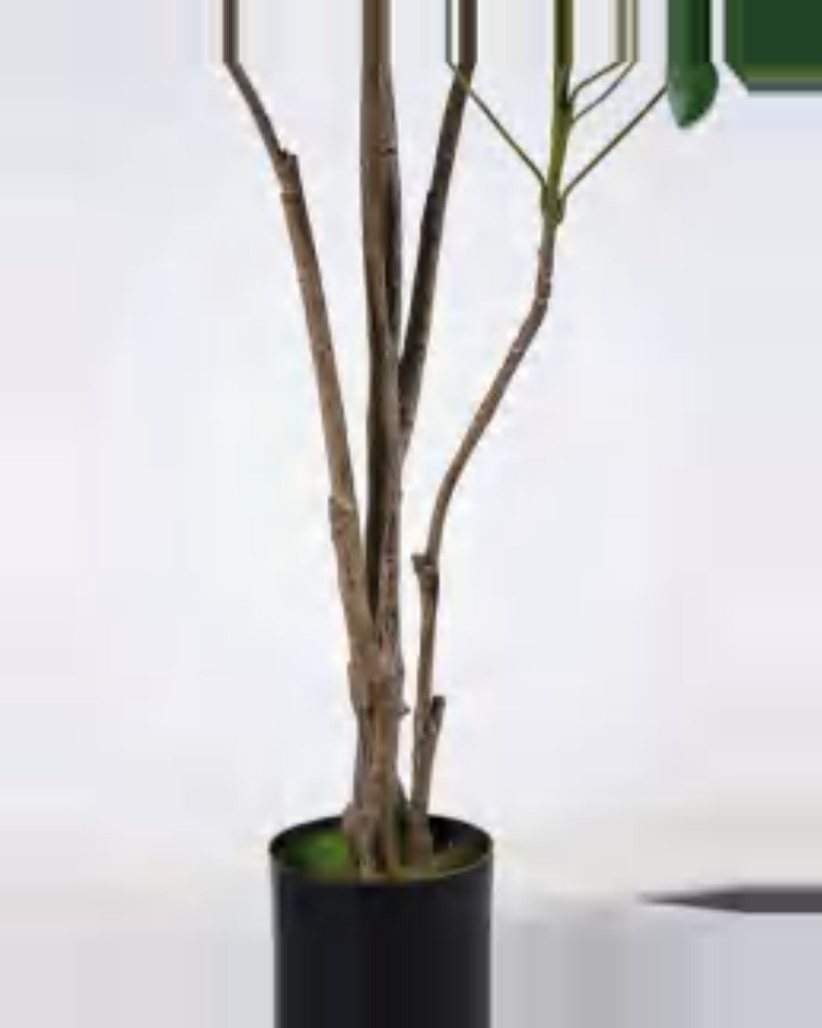 Vela Schefflera Tree — close-up detail 1, artificial schefflera tree