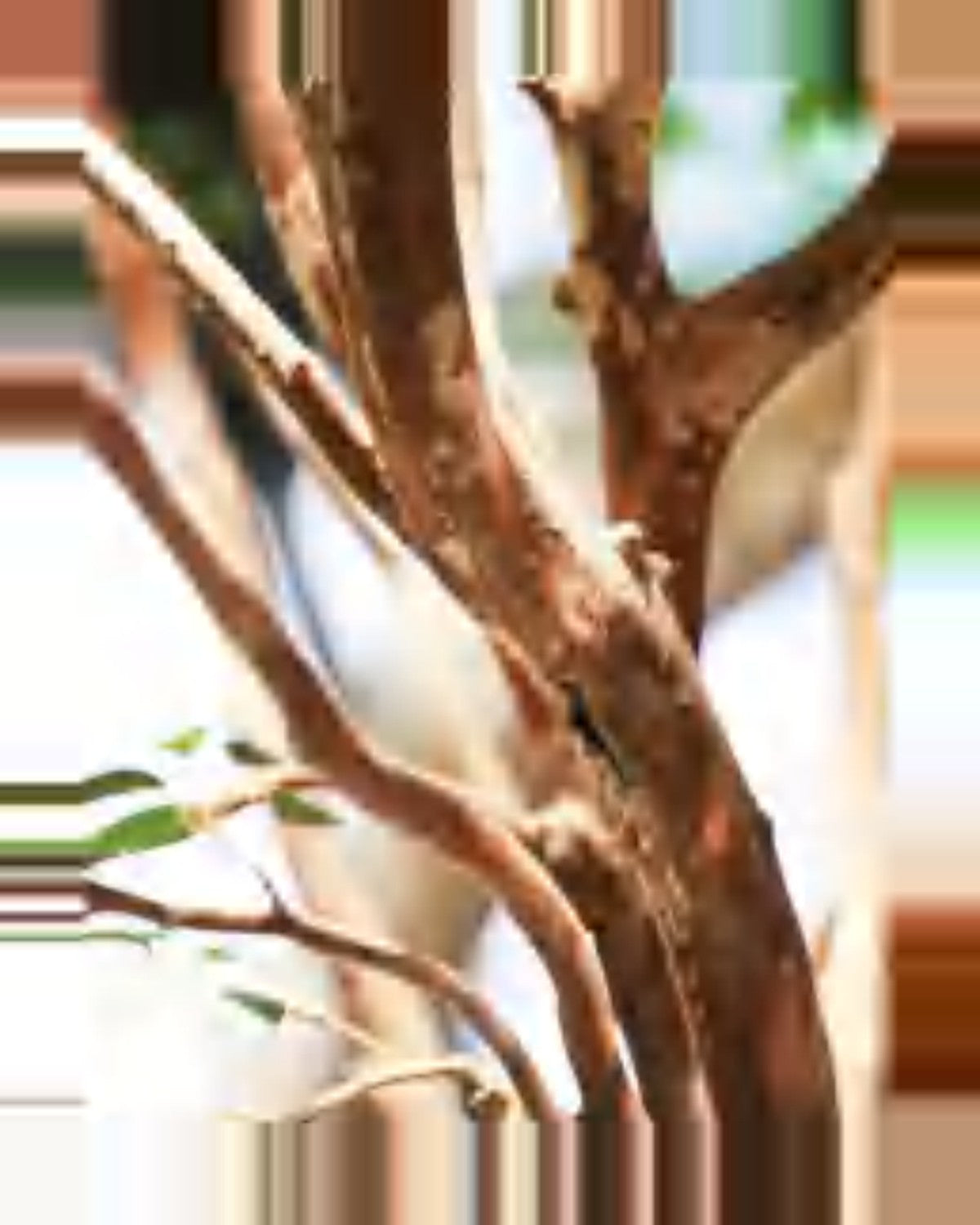Onda Banyan Tree — close-up detail 1, artificial banyan tree