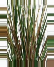 Onda Onion Grass — close-up detail 1, artificial onion grass