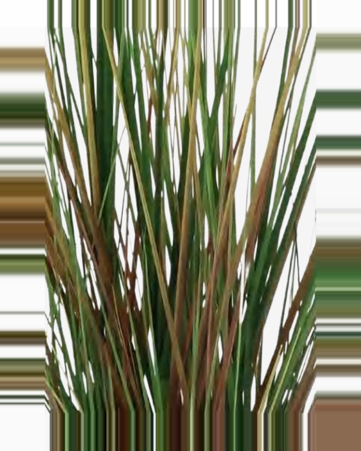 Onda Onion Grass — close-up detail 1, artificial onion grass