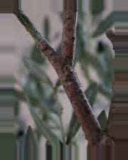 Matera Olive Fruit Leaf Tree — close-up detail 1, artificial olive fruit leaf tree