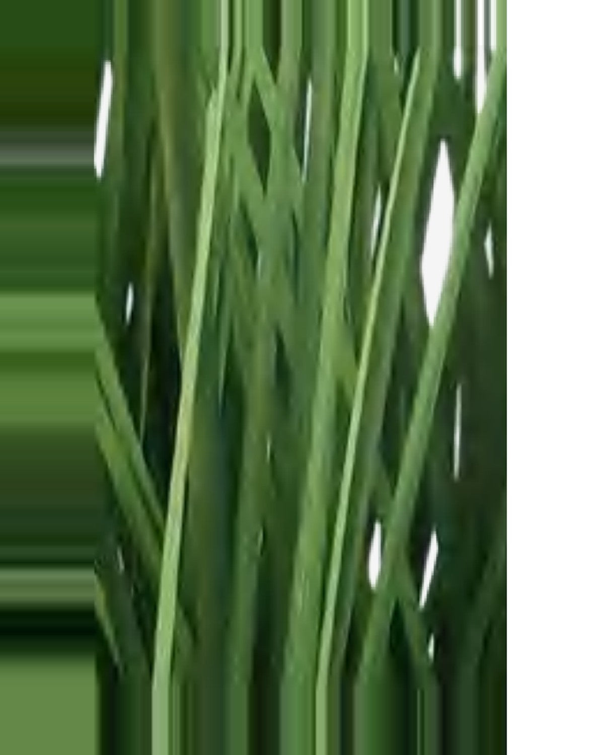 Riva Cattail Grass — close-up detail 1, artificial cattail grass