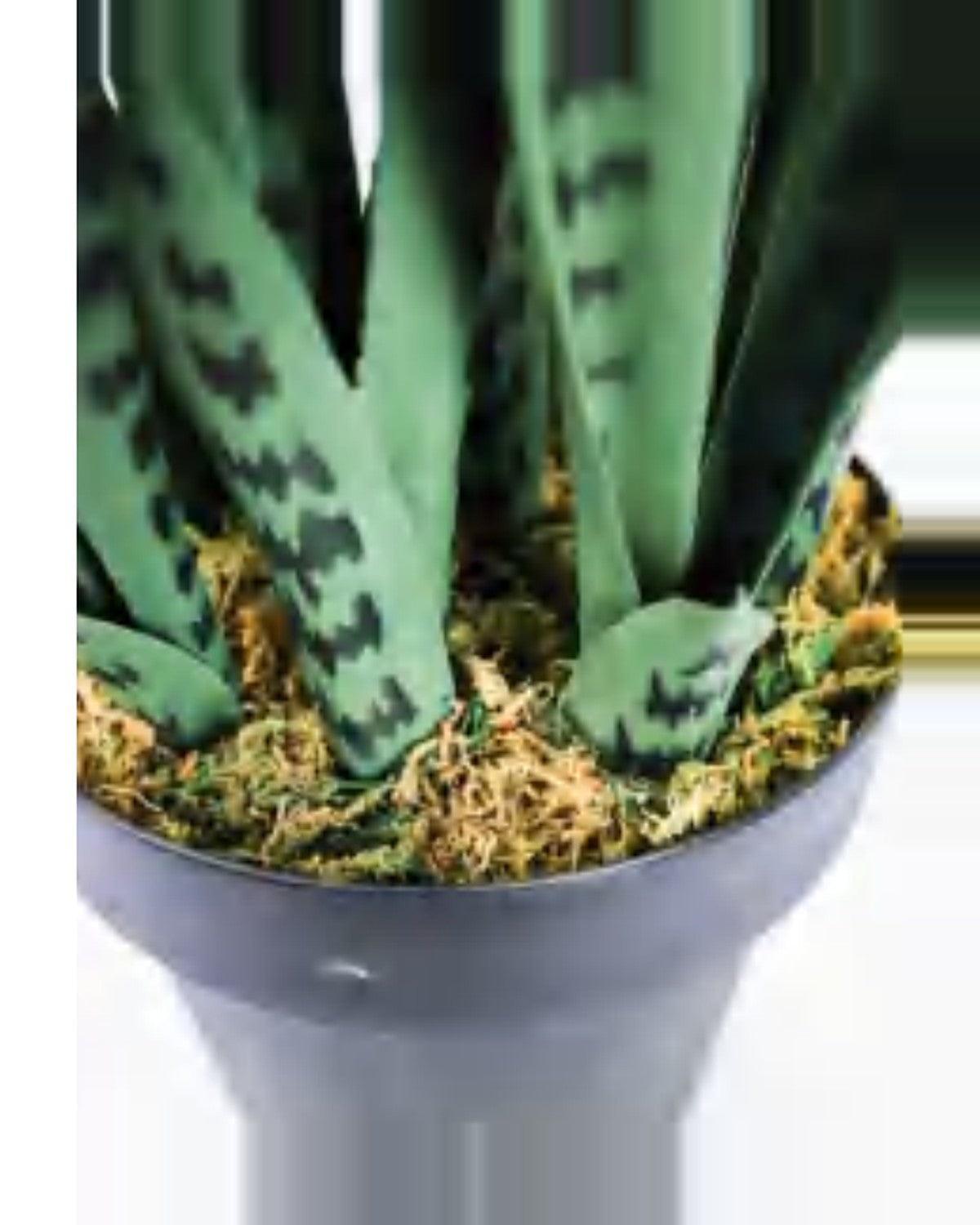Restanque Snake Plant — close-up detail 1, artificial snake plant