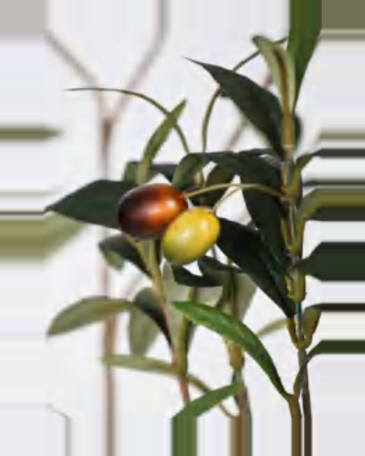 Ischia Olive Tree — close-up detail 1, artificial olive tree