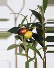Ischia Olive Tree — close-up detail 1, artificial olive tree