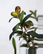 Spoleto Olive Tree — close-up detail 1, artificial olive tree