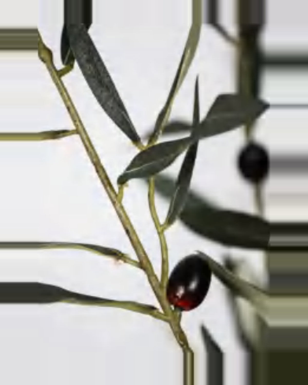 Volterra Olive Tree — close-up detail 1, artificial olive tree