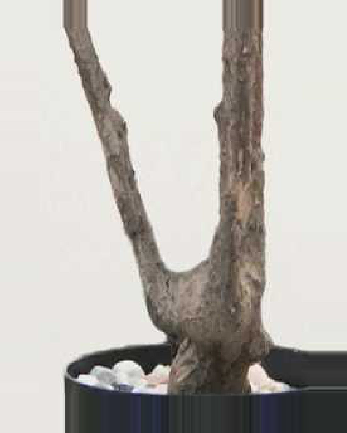 Taormina Olive Tree — close-up detail 1, artificial olive tree