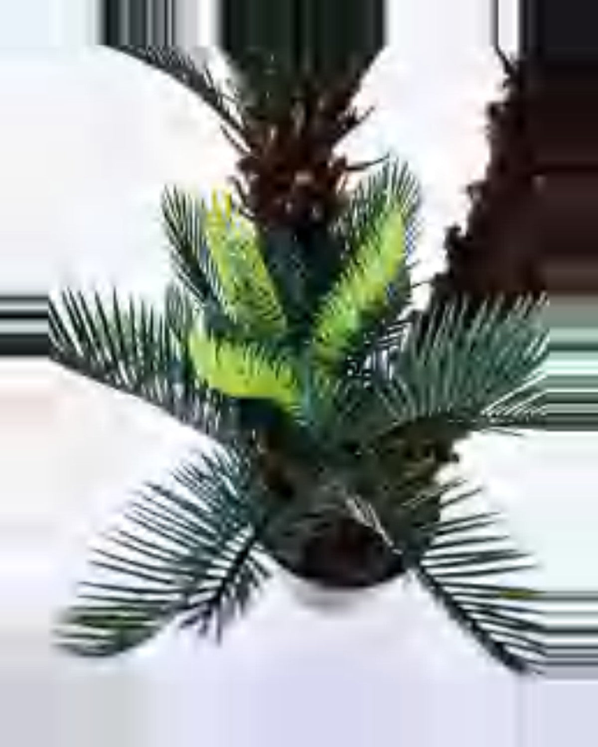 Amandier Sago Palm — close-up detail 1, artificial sago palm