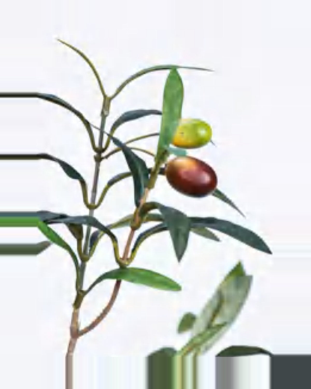 Assisi Olive Tree — close-up detail 1, artificial olive tree