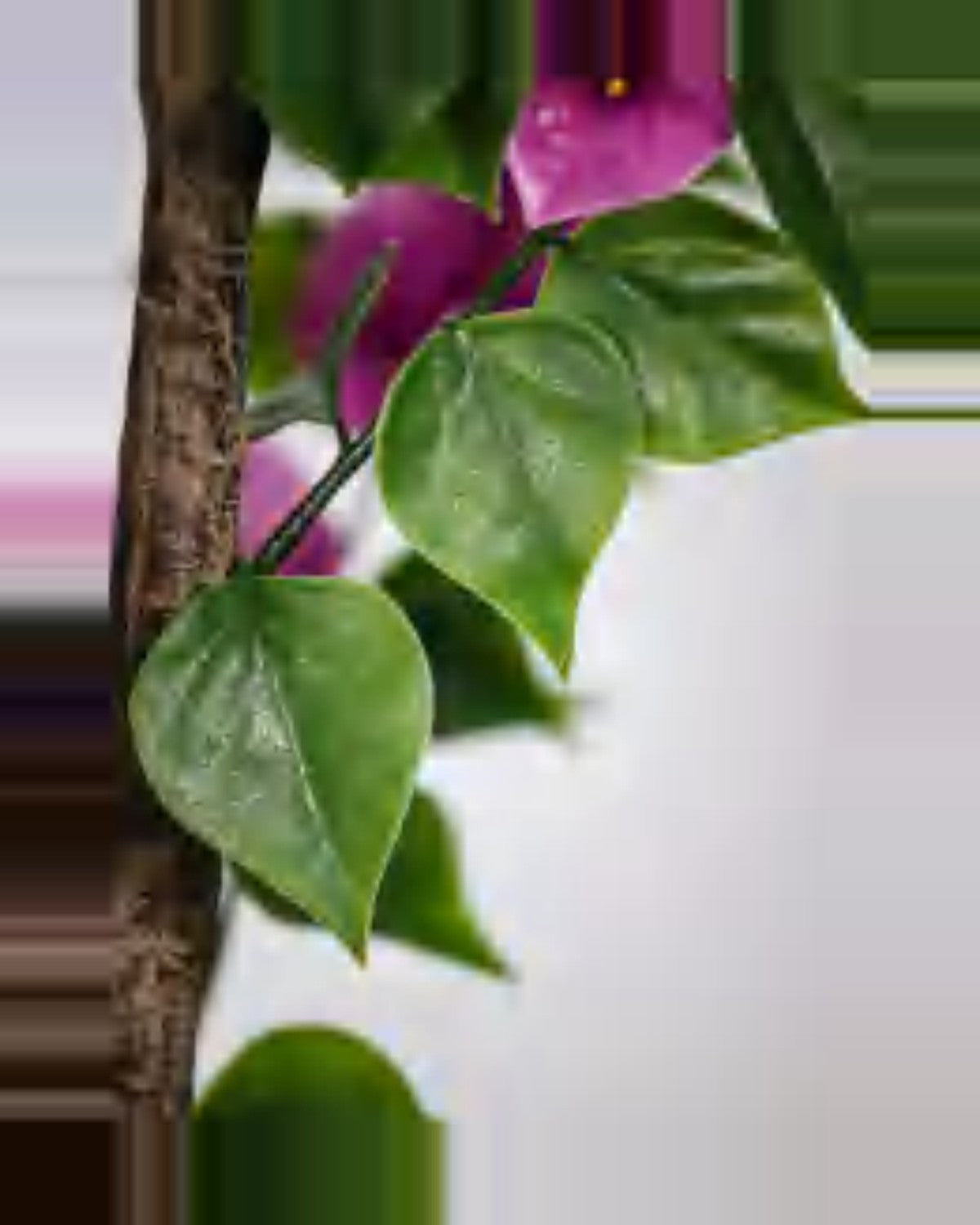 Bastide Bougainvillea Tree — close-up detail 1, artificial bougainvillea tree