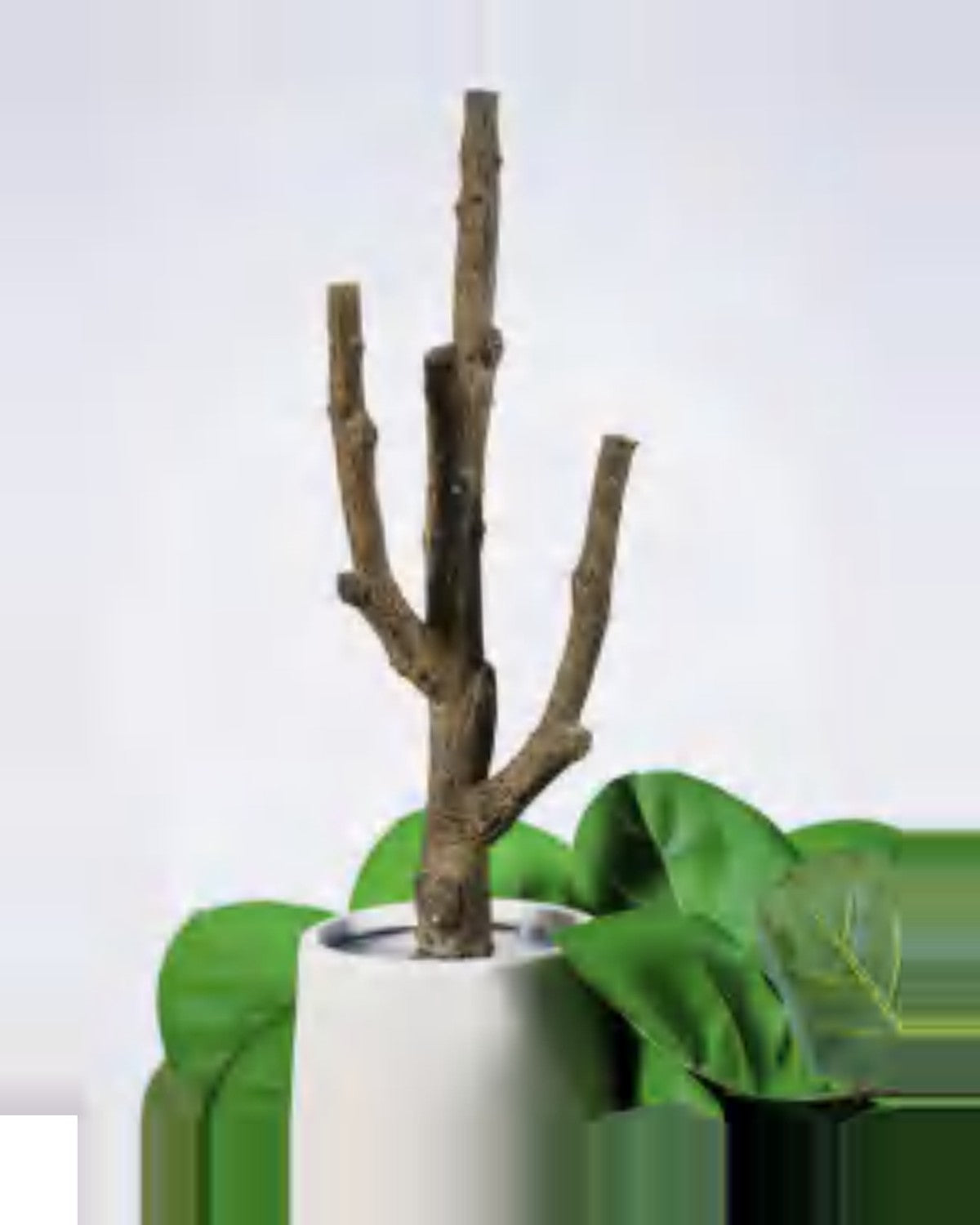 Draille Fiddle Leaf Fig Tree — close-up detail 1, artificial fiddle leaf fig tree