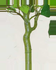 Sabbia Bougainvillea Tree — close-up detail 1, artificial bougainvillea tree