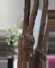 Cigale Crimson Fire Loropetalum Tree — close-up detail 1, artificial crimson fire loropetalum tree