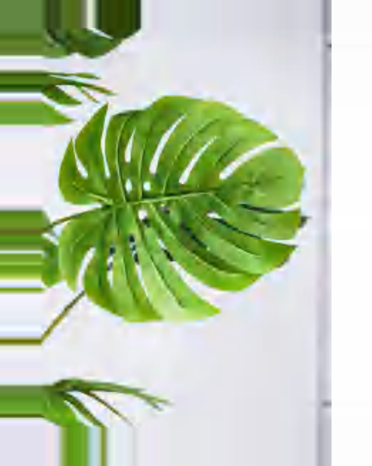 Ambra Monstera Plant — close-up detail 1, artificial monstera plant