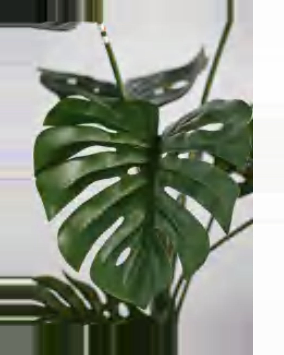 Ombra Monstera Plant — close-up detail 1, artificial monstera plant